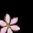 Blumen icons bilder