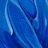 Blumen icons bilder