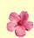 Blumen