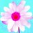 Blumen icons bilder