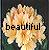 Blumen icons bilder