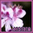 Blumen icons bilder