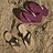 Flip flops icons bilder