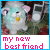 Ipod icons bilder