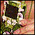 Ipod icons bilder