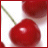Kirschen icons bilder