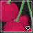 Kirschen icons bilder