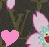 Kirschen icons bilder