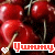 Kirschen icons bilder