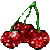 Kirschen icons bilder