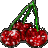 Kirschen icons bilder