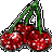 Kirschen icons bilder