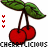 Kirschen icons bilder