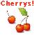 Kirschen icons bilder