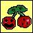 Kirschen icons bilder