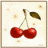 Kirschen icons bilder