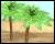 Palmen icons bilder