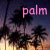 Palmen icons bilder