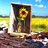 Sonnenblume icons bilder