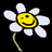 Sonnenblume icons bilder