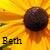 Sonnenblume icons bilder