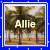 Allie icons bilder