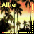Allie icons bilder