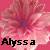 Alyssa icons bilder