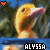 Alyssa icons bilder