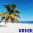 Amber icons bilder