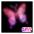 Amy icons bilder