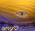 Amy icons bilder