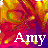 Amy icons bilder