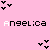 Angelica icons bilder
