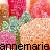 Annemarie icons bilder