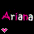 Ariana icons bilder