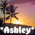 Ashley icons bilder