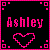 Ashley icons bilder