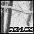 Ashley icons bilder