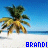 Brandi icons bilder