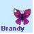 Brandy icons bilder