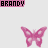 Brandy icons bilder
