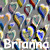 Brianna icons bilder