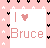 Bruce icons bilder