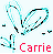Carrie icons bilder