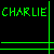 Charlie icons bilder