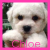 Chloe icons bilder