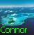 Connor icons bilder