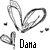 Dana icons bilder