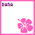 Dana icons bilder